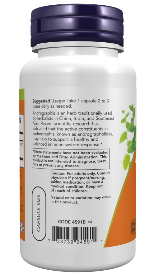Now - Andrographis Extract, 400mg - 90Vcaps