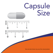 NOW - Pantothenic Acid 500mg 250 Caps - Vitamin B 5