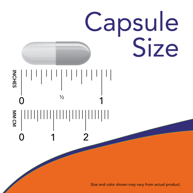 Now - Andrographis Extract, 400mg - 90Vcaps